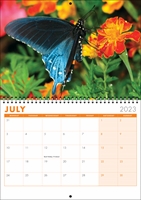 Picture of Spiral Booklet Calendar F01 Orange