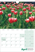 Picture of Spiral Calendar S11 Green