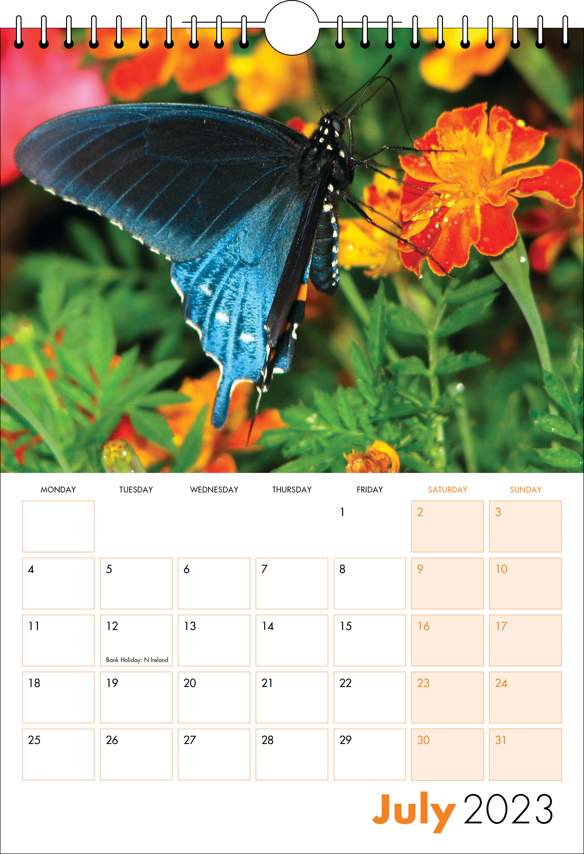 Picture of Spiral Calendar S11 Orange