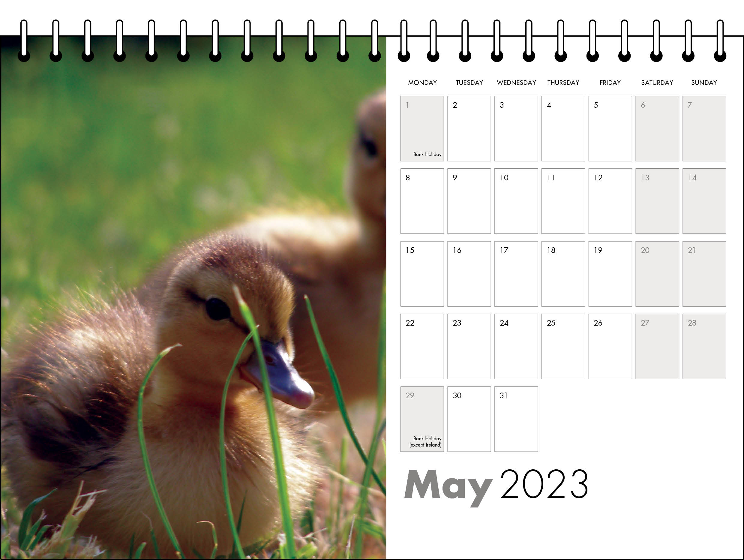 Picture of Desk Calendar D11 Grey