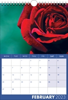 Picture of Spiral Calendar S17 Blue