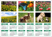 Picture of Yearplanner W06 Green