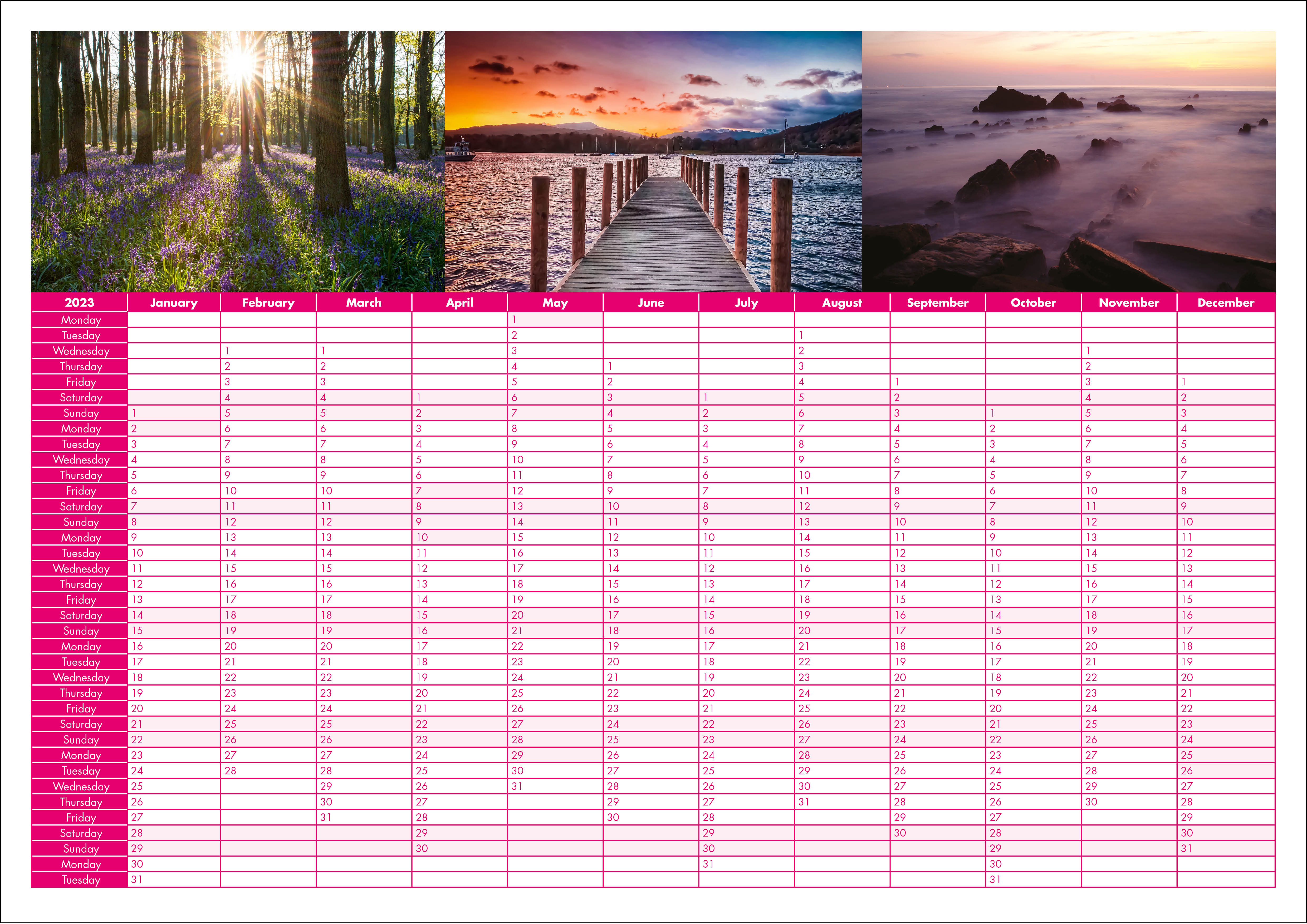 Picture of Yearplanner W08 Hot Pink