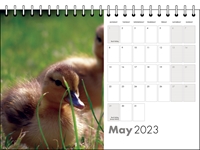 Picture of Desk Calendar D11 Grey