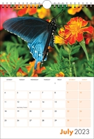 Picture of Spiral Calendar S11 Orange