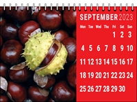 Picture of Desk Calendar D08 Red