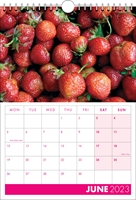 Picture of Spiral Calendar S18 Hot Pink