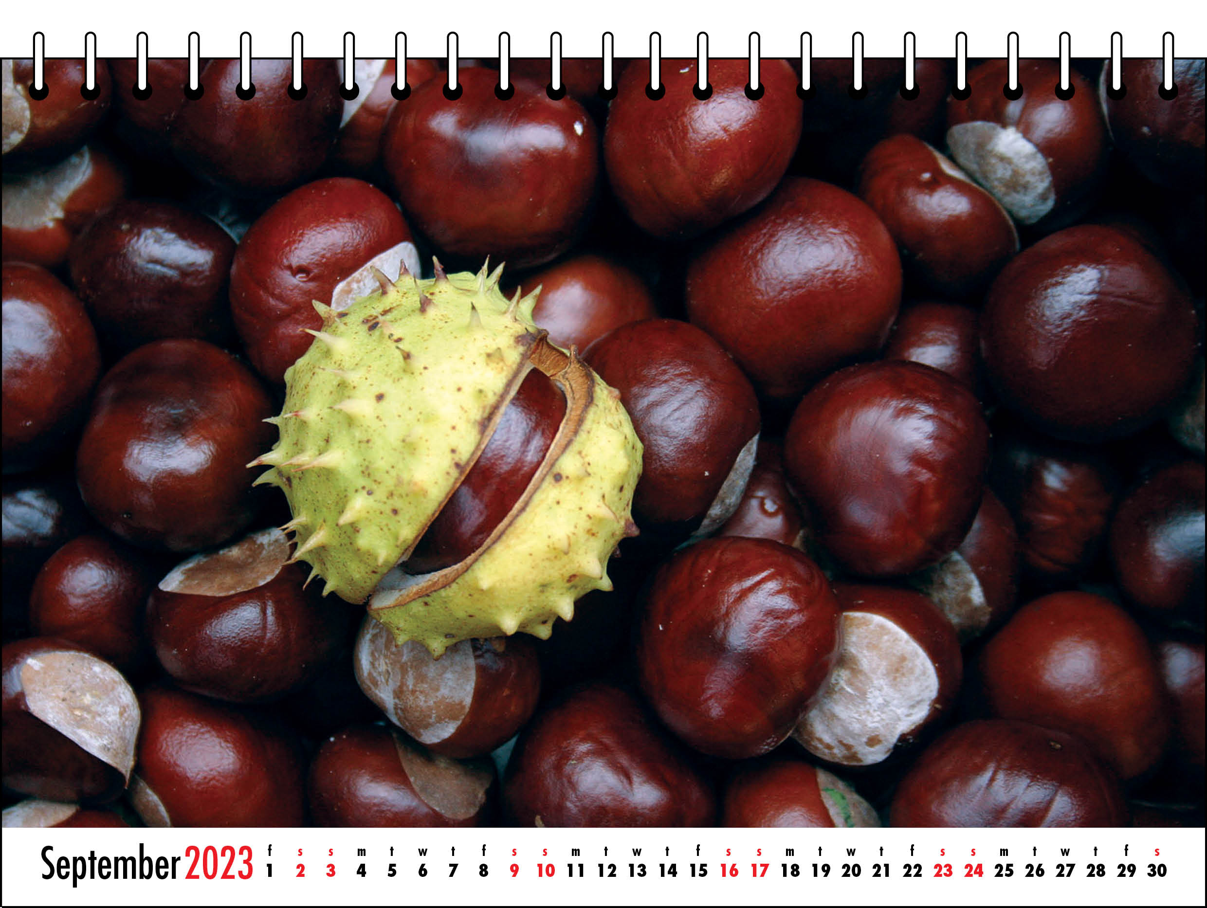 Picture of Desk Calendar D02 Red