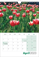 Picture of Spiral Calendar S13 Green