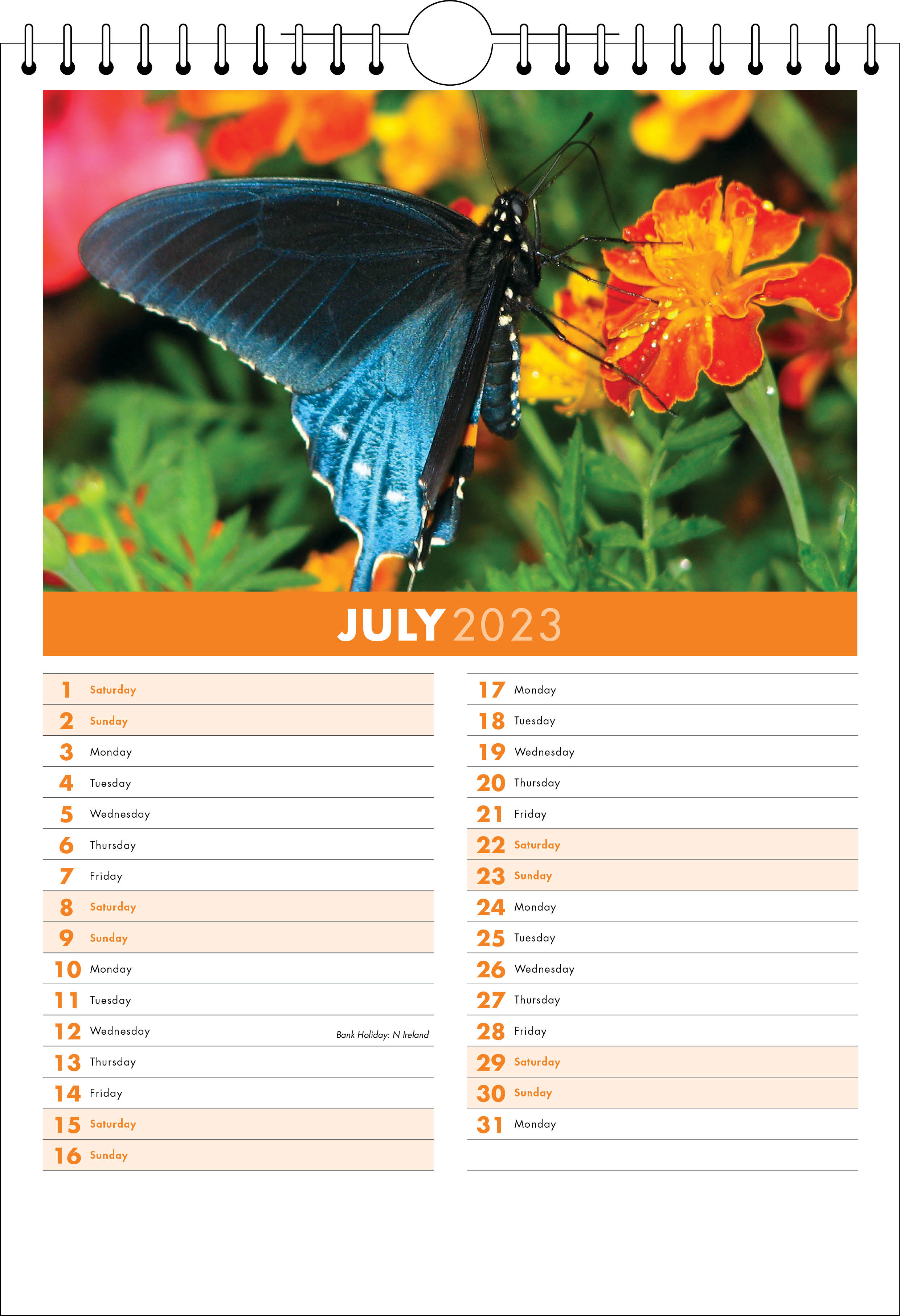 Picture of Spiral Calendar S03 Orange