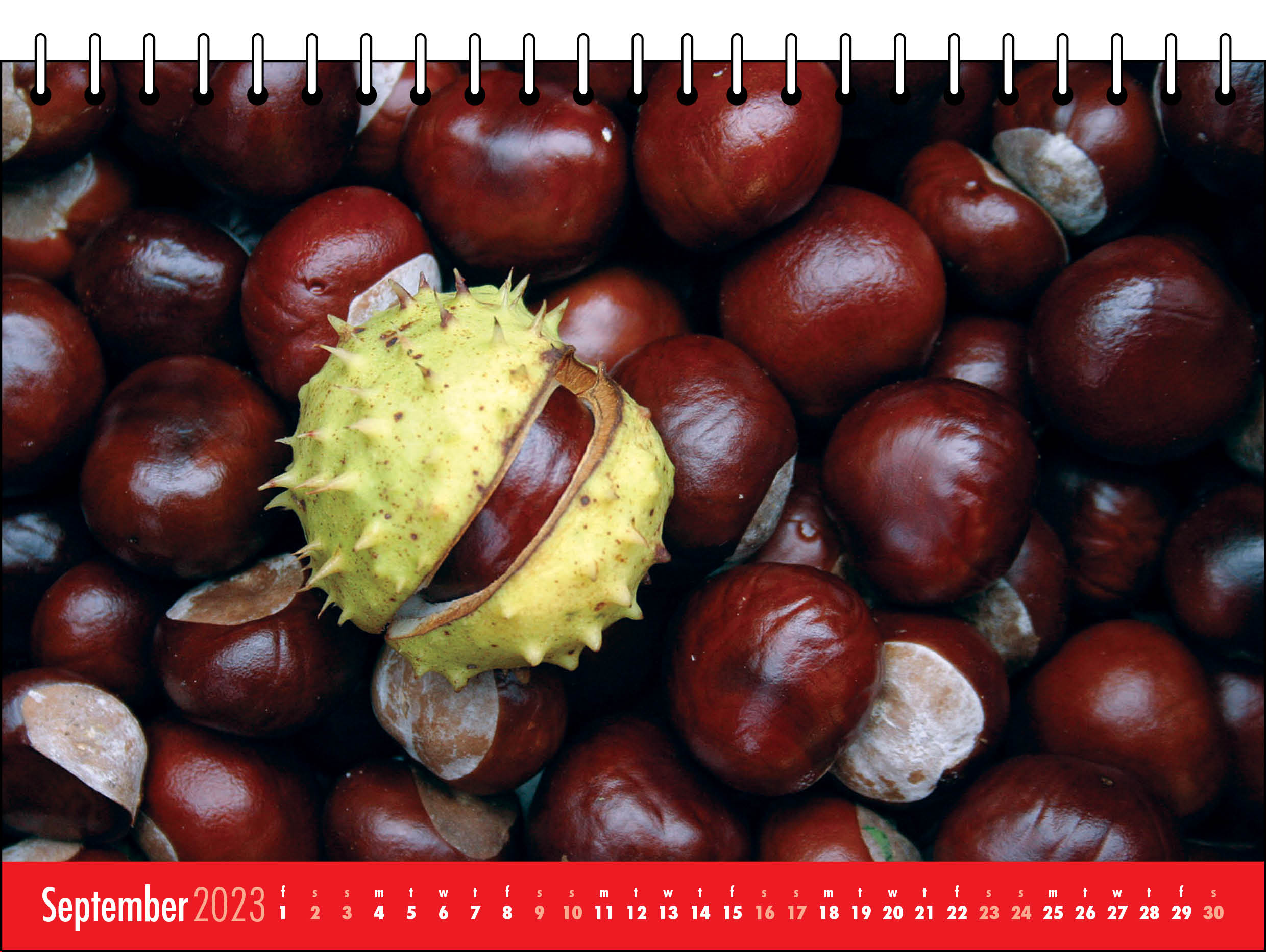 Picture of Desk Calendar D04 Red