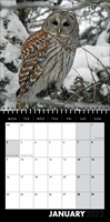 Picture of Square Spiral Booklet Calendar QF05 Black