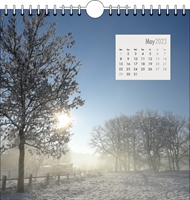 Picture of Spiral Calendar Q12 Grey