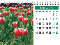 Picture of Desk Calendar D06 Green