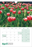 Picture of Spiral Calendar S23 Green
