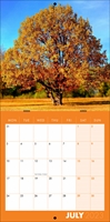 Picture of Square Booklet Calendar QB05 Orange