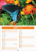 Picture of Booklet Calendar B06 Orange