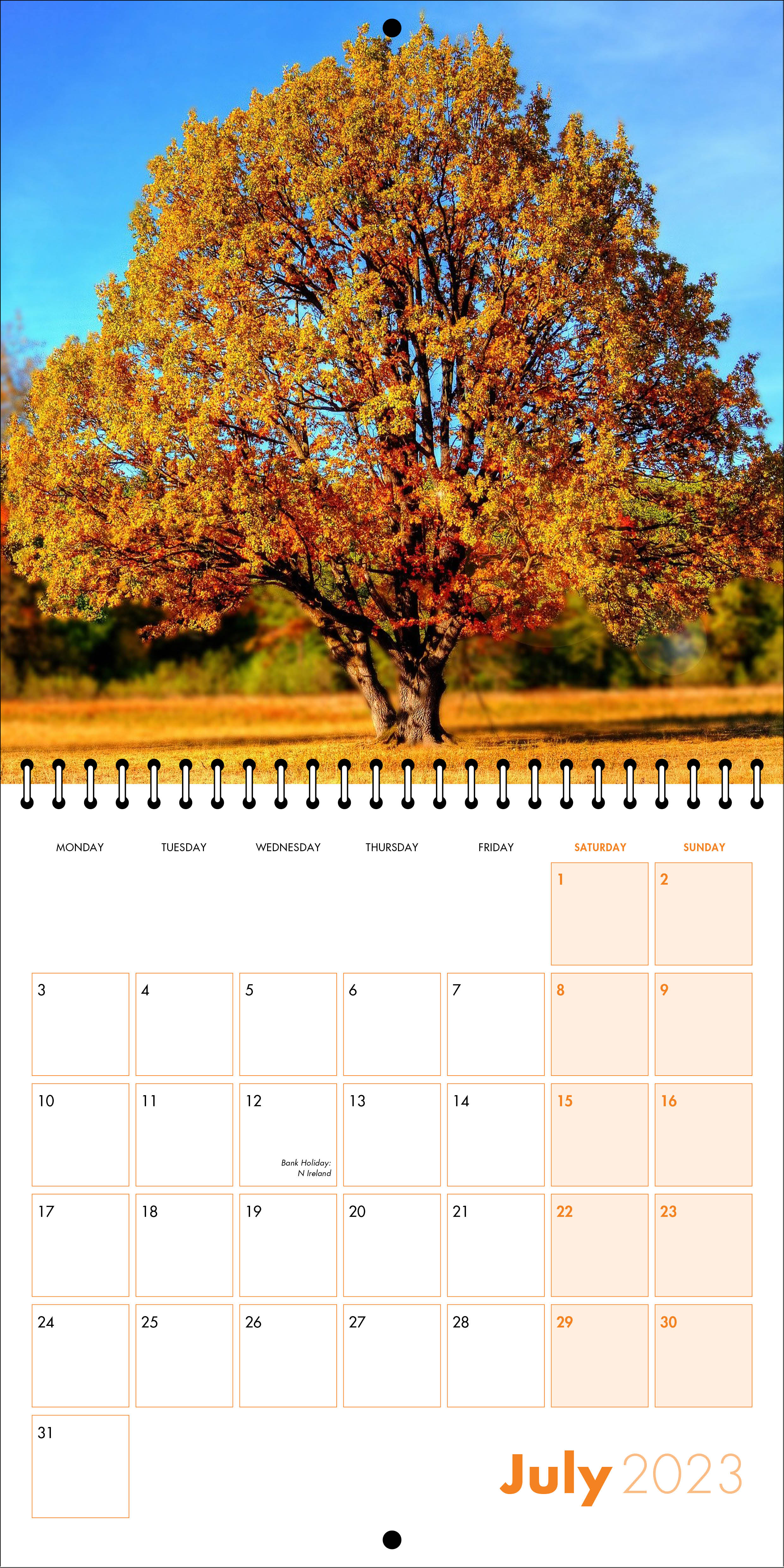 Picture of Square Spiral Booklet Calendar QF02 Orange
