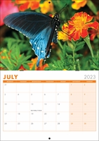 Picture of Booklet Calendar B01 Orange