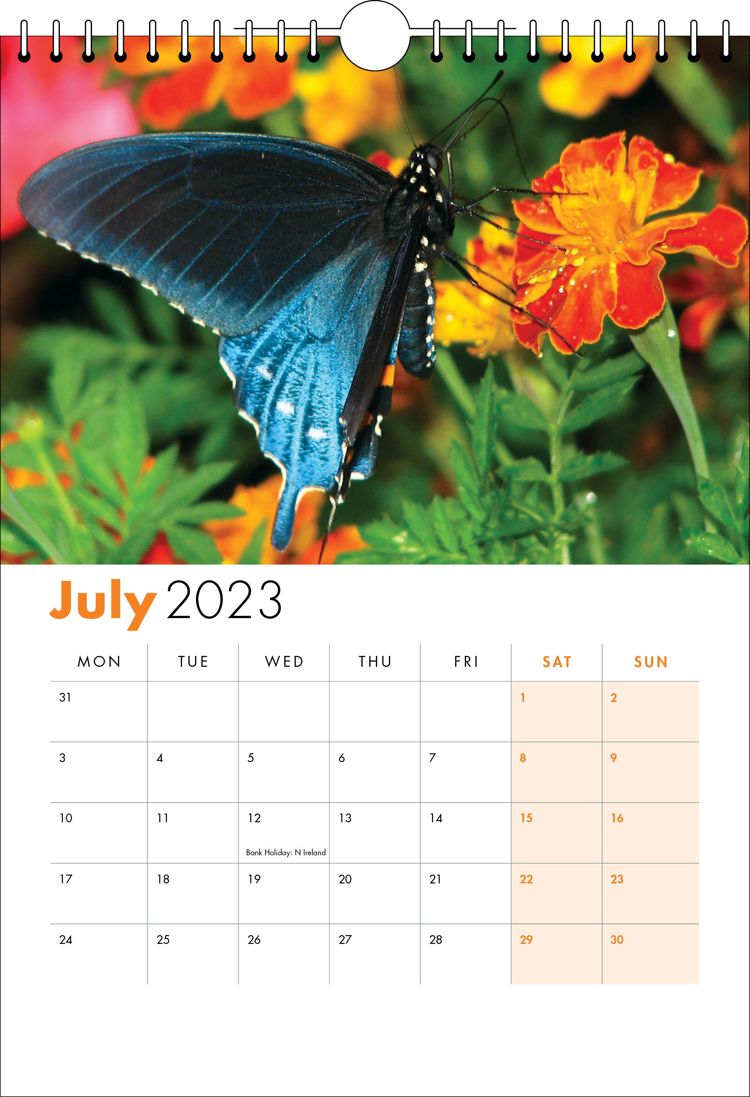 Picture of Spiral Calendar S07 Orange