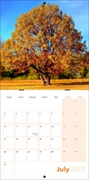 Picture of Square Booklet Calendar QB02 Orange