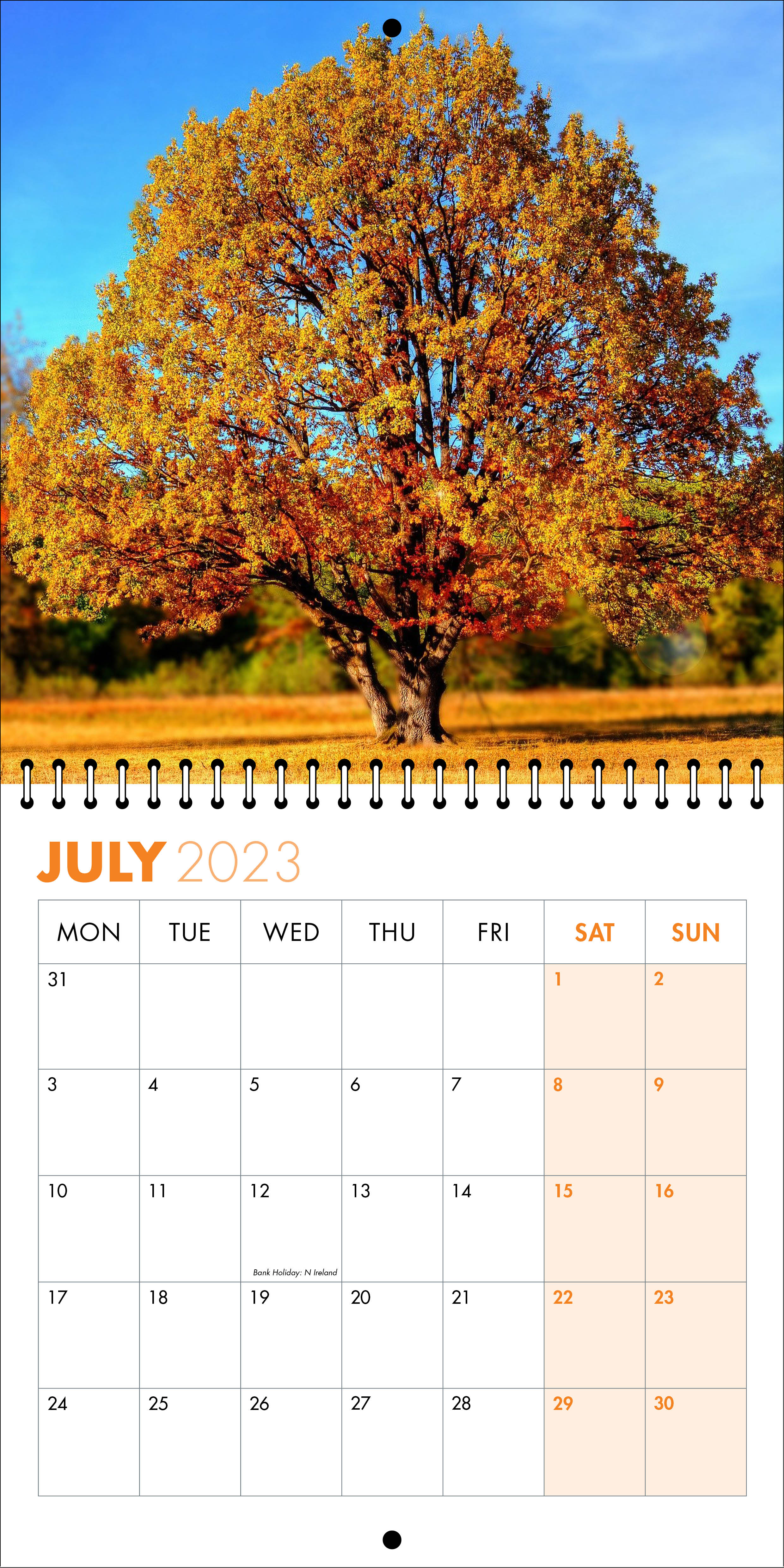 Picture of Square Spiral Booklet Calendar QF01 Orange