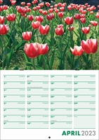 Picture of Booklet Calendar B02 Green