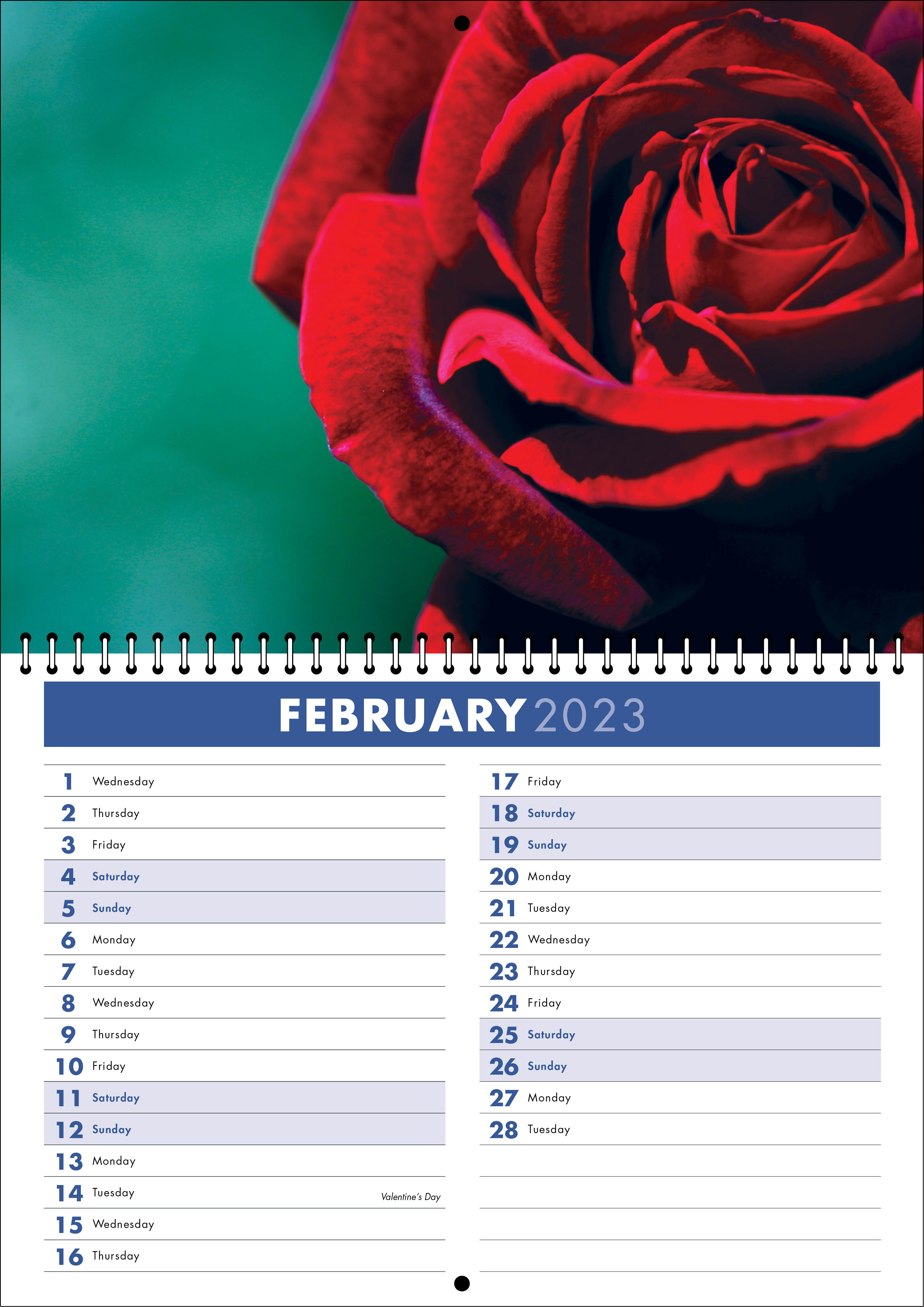Picture of Spiral Booklet Calendar F06 Blue