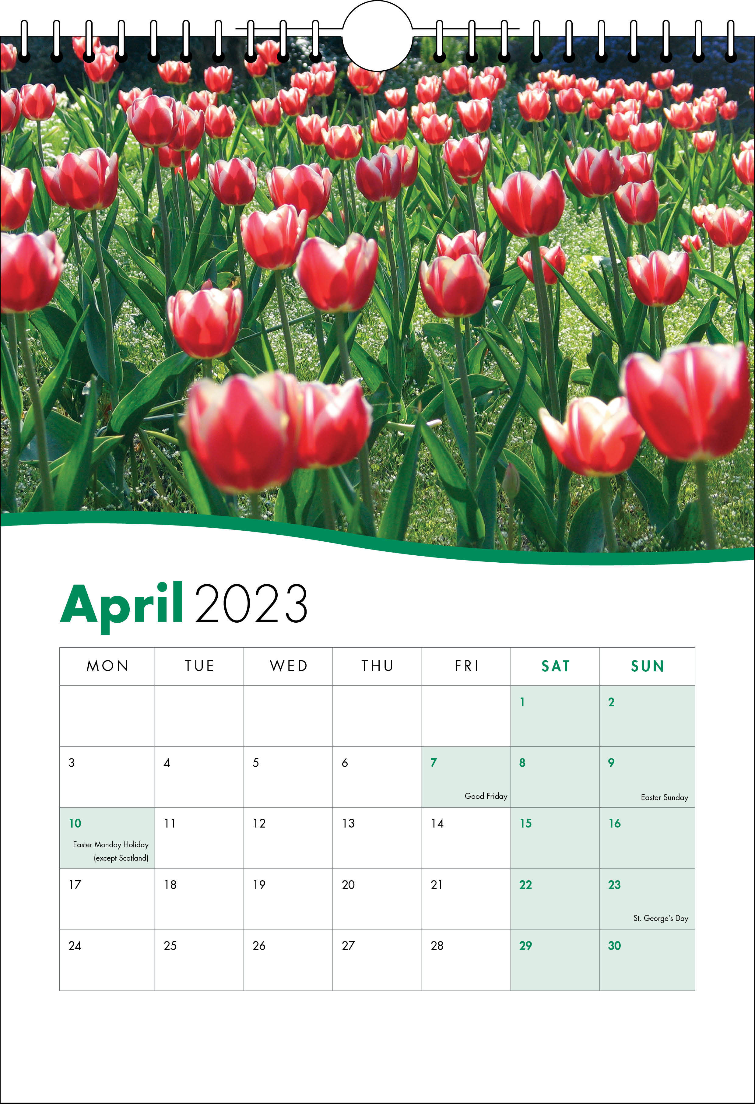 Picture of Spiral Calendar S01 Green