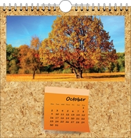 Picture of Spiral Calendar Q15 Orange