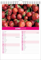 Picture of Spiral Calendar S03 Hot Pink