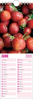 Picture of Kitchen Calendar K01 Hot Pink
