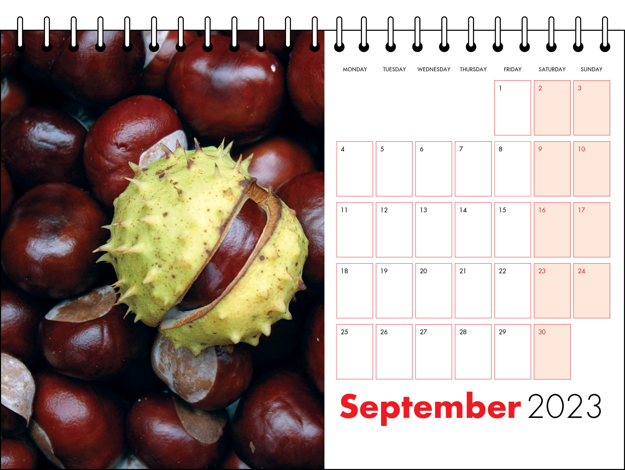 Picture of Desk Calendar D11 Red