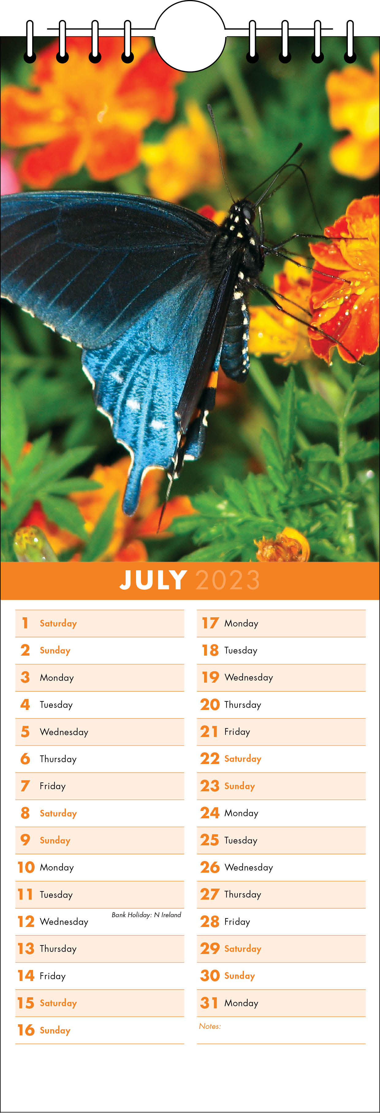Picture of Kitchen Calendar K05 Orange