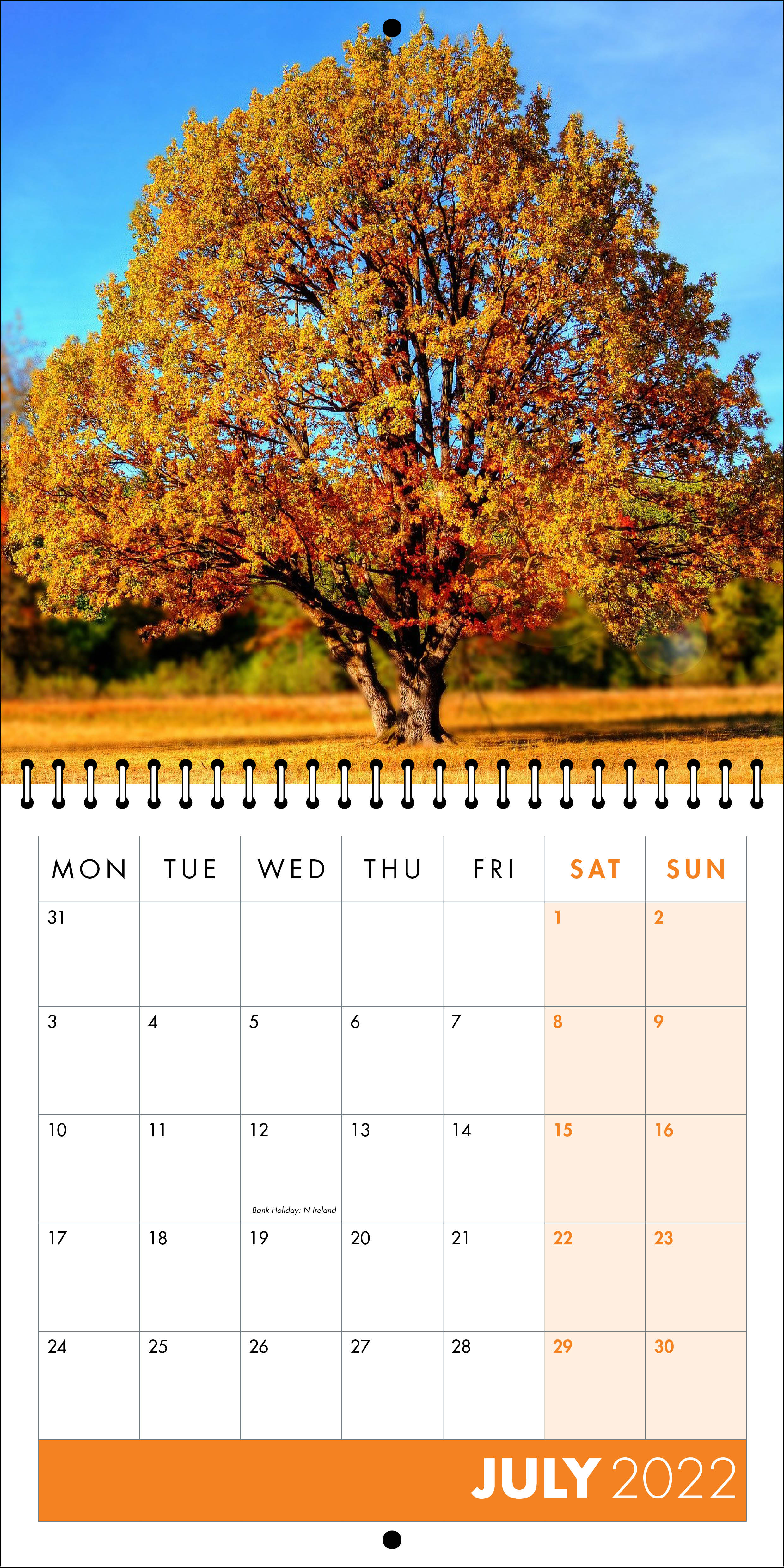 Picture of Square Spiral Booklet Calendar QF06 Orange