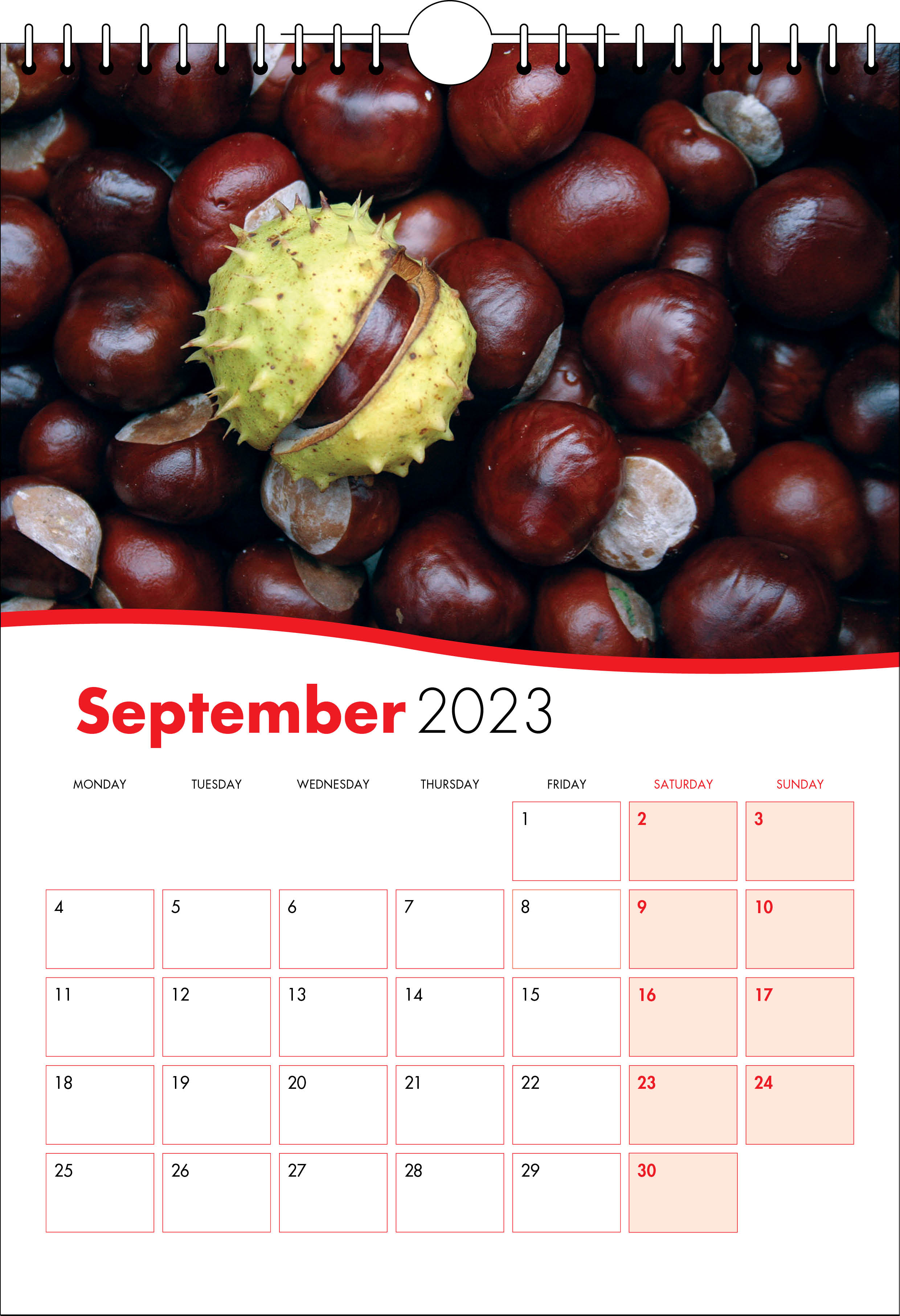 Picture of Spiral Calendar S02 Red