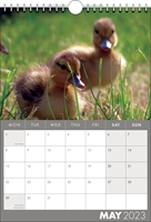 Picture of Spiral Calendar S17 Grey