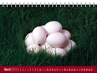 Picture of Desk Calendar D04 Burgundy