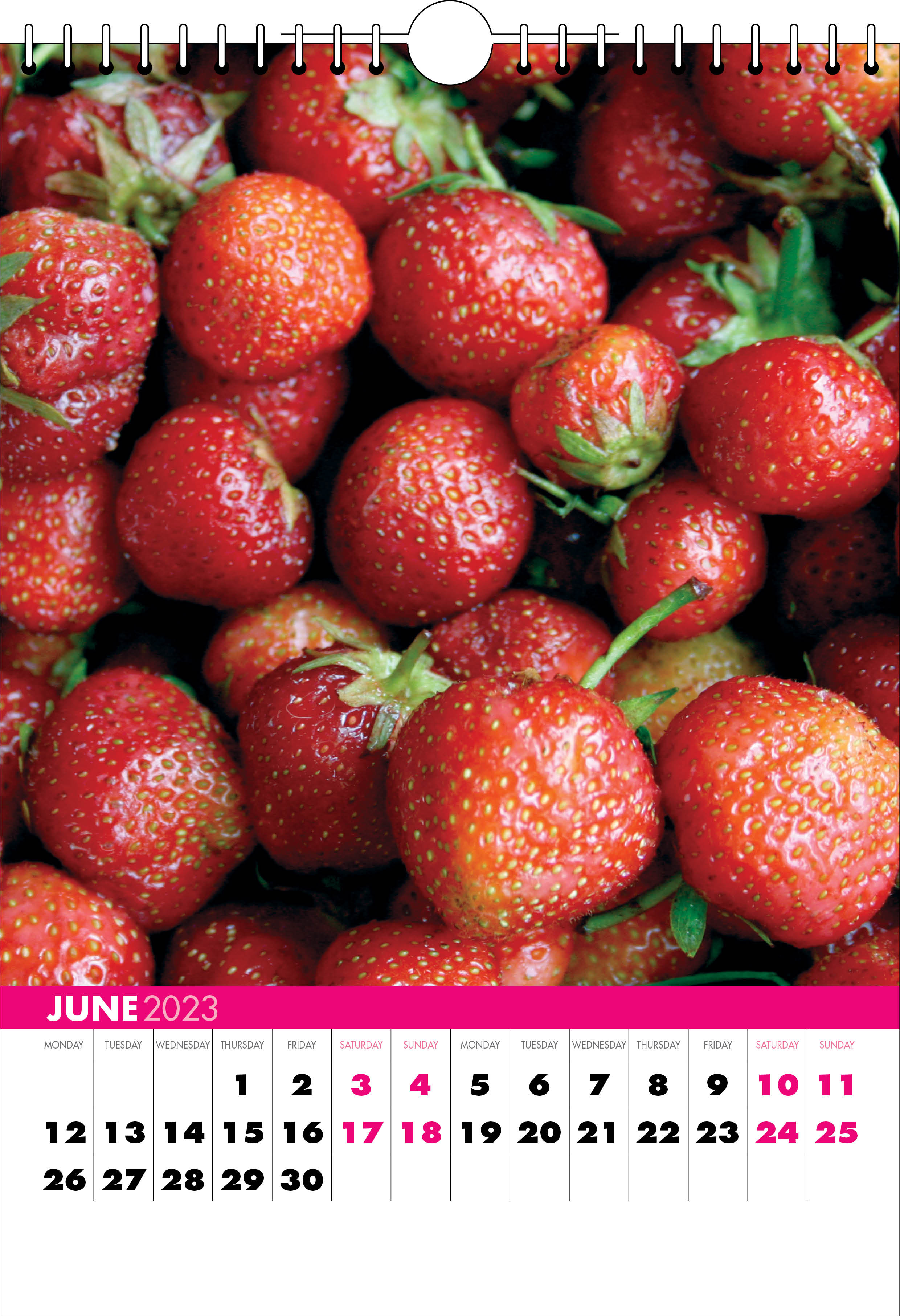 Picture of Spiral Calendar S05 Hot Pink