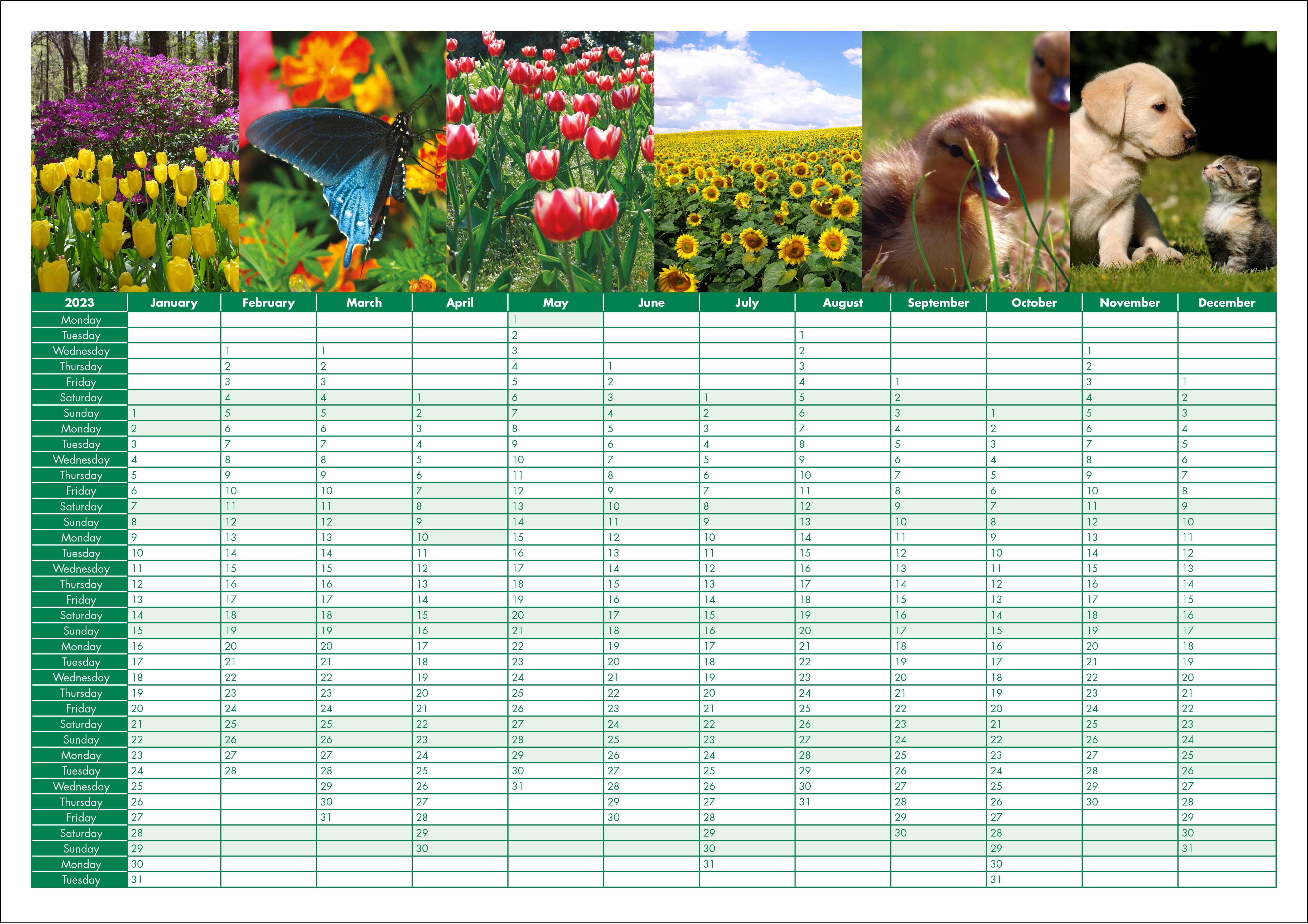Picture of Yearplanner W09 Green