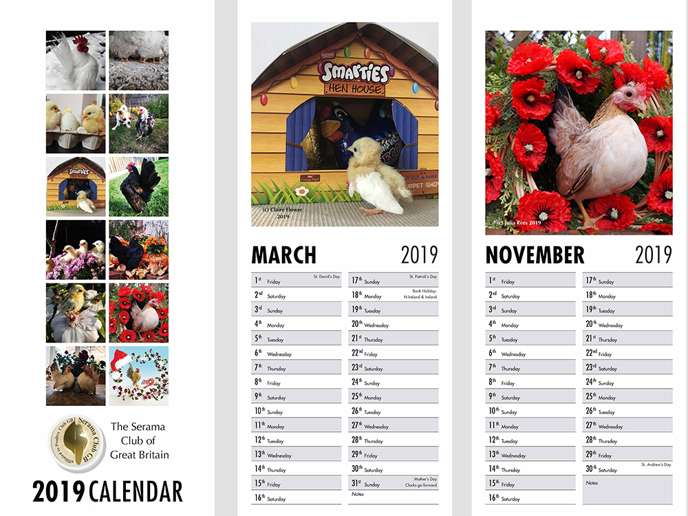2020 Personalised Calendar Printing Charity Photo Calendar