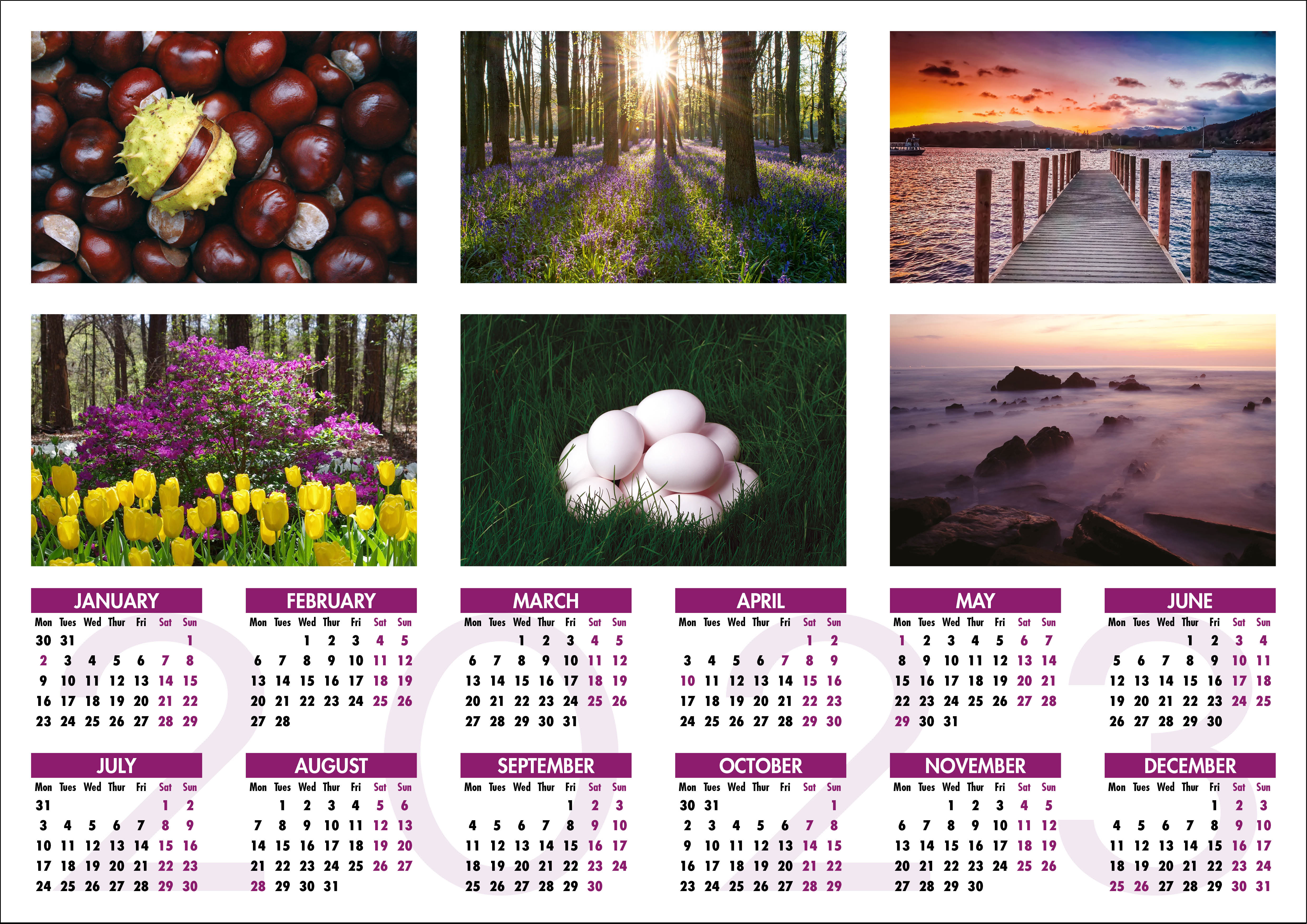 Picture of Yearplanner W06 Purple