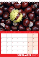 Picture of Spiral Calendar S17 Red