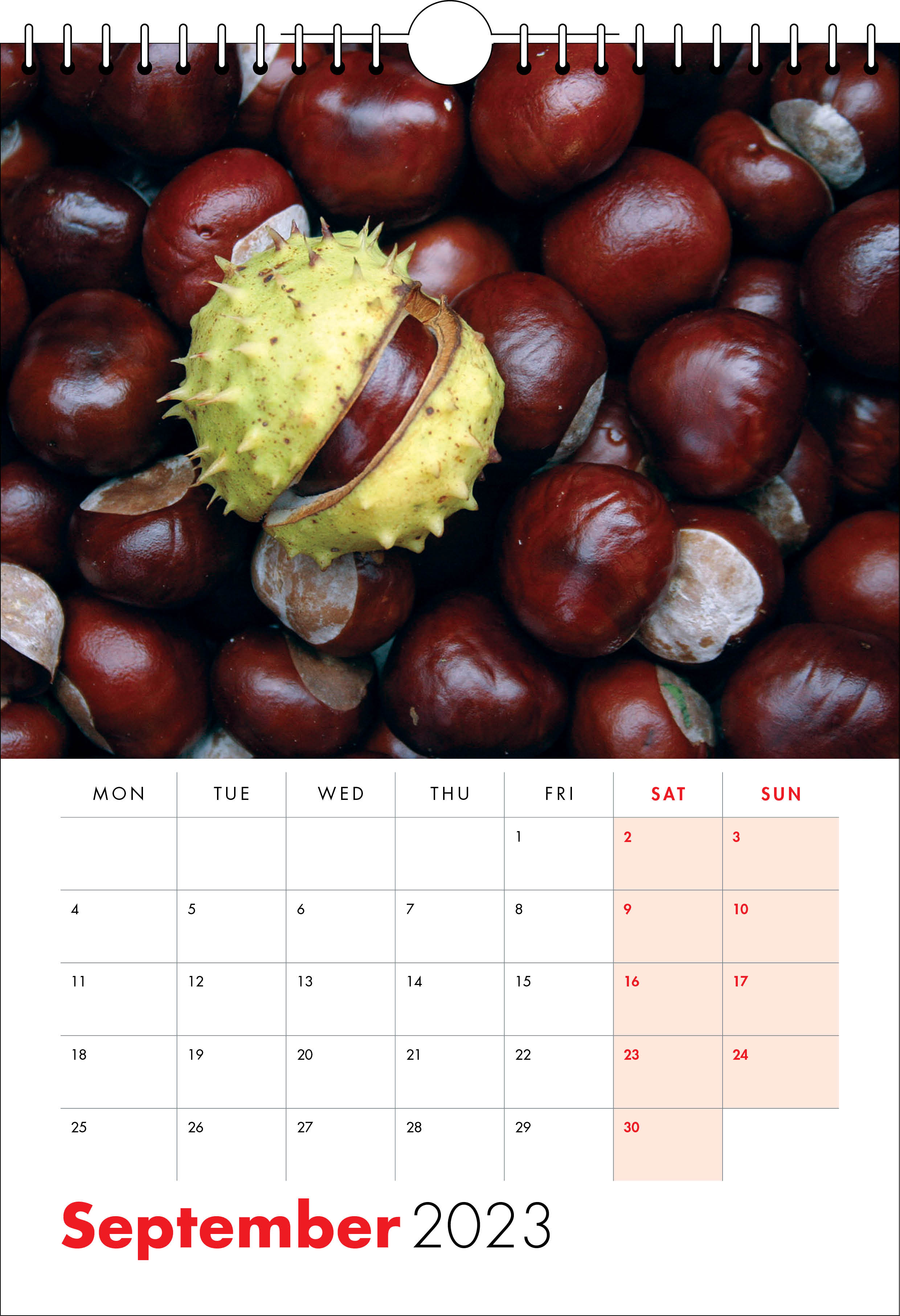 Picture of Spiral Calendar S23 Red