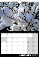 Picture of Spiral Calendar S17 Black