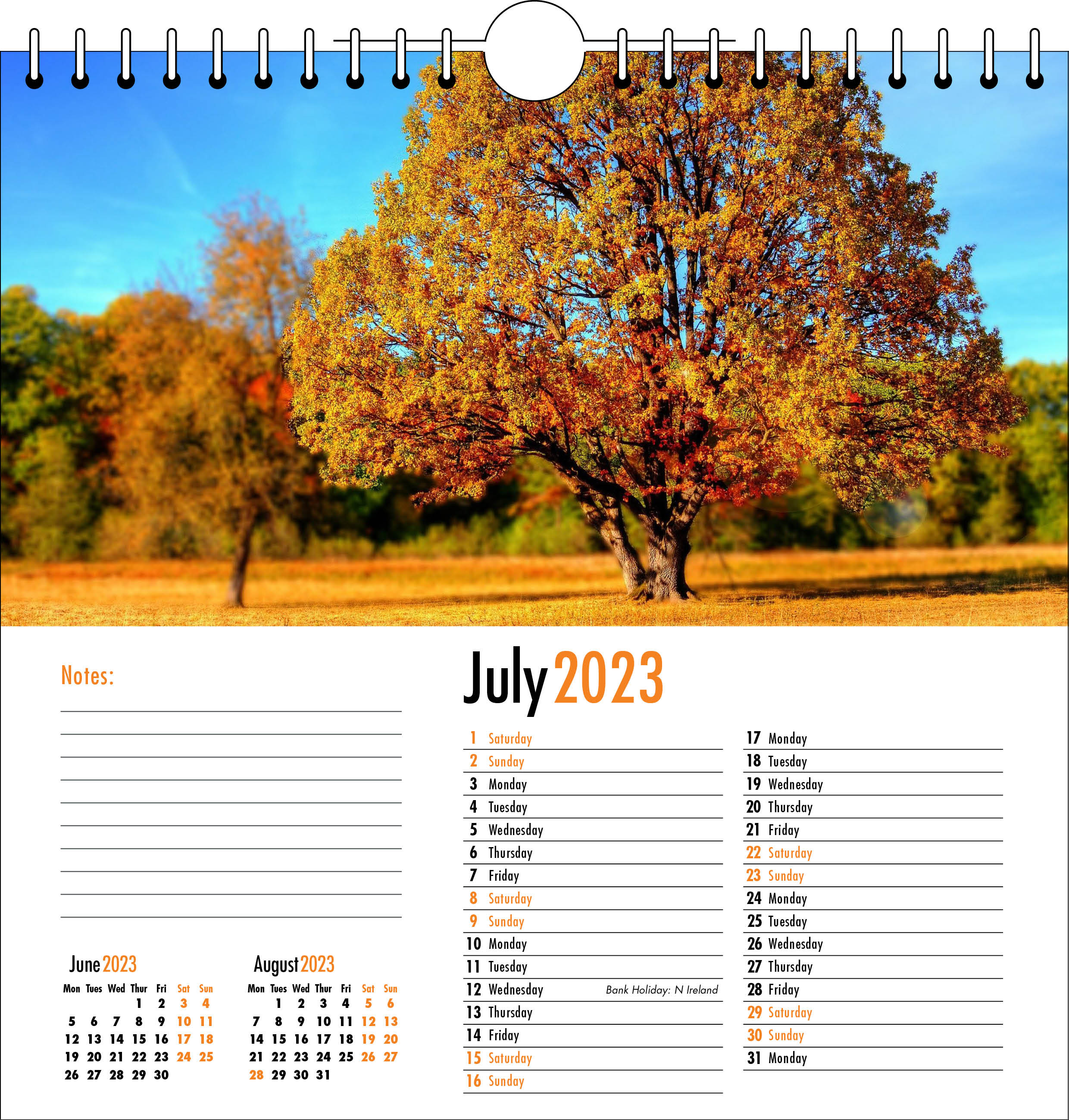 Picture of Spiral Calendar Q04 Orange