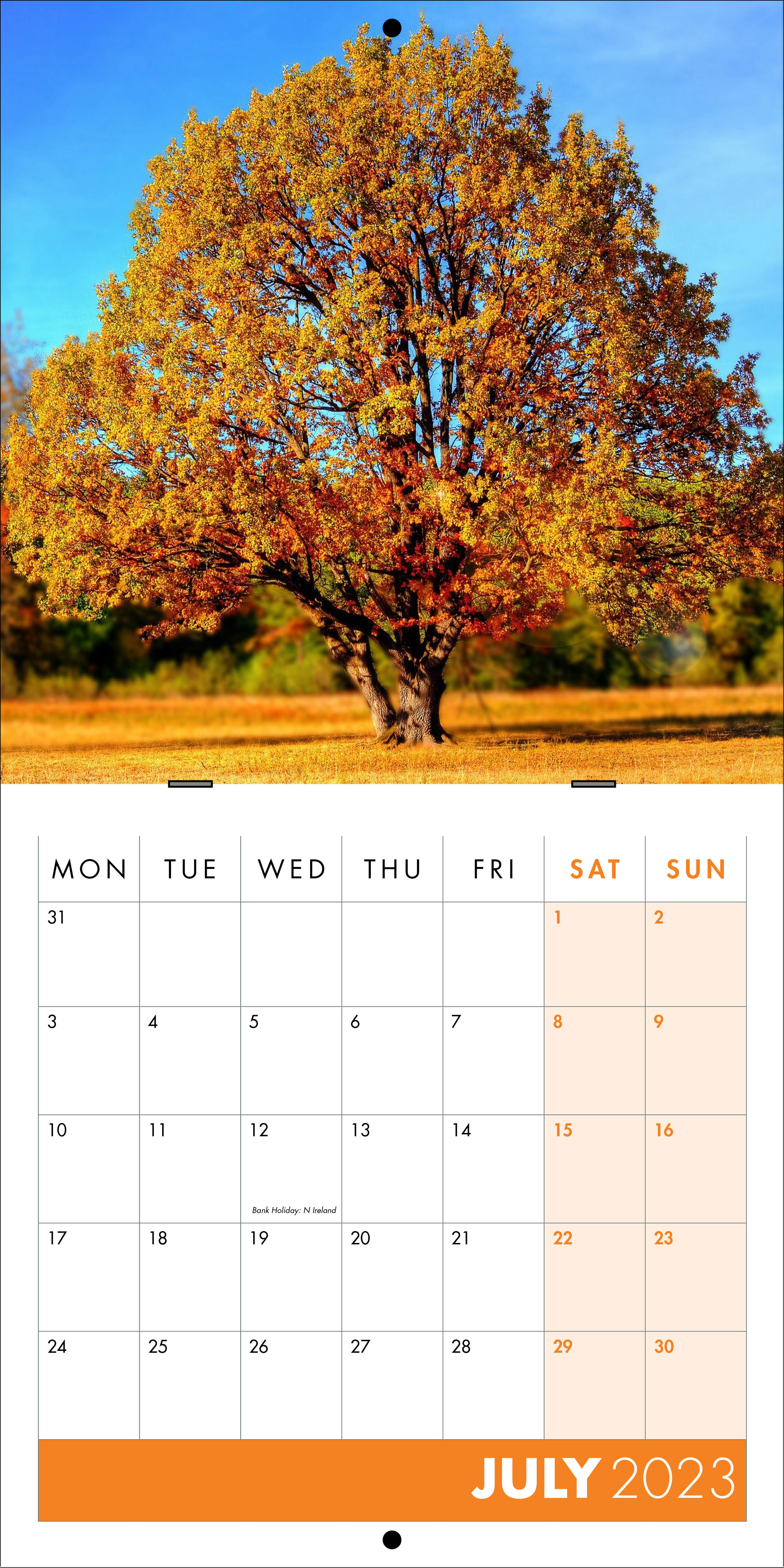 Picture of Square Booklet Calendar QB06 Orange