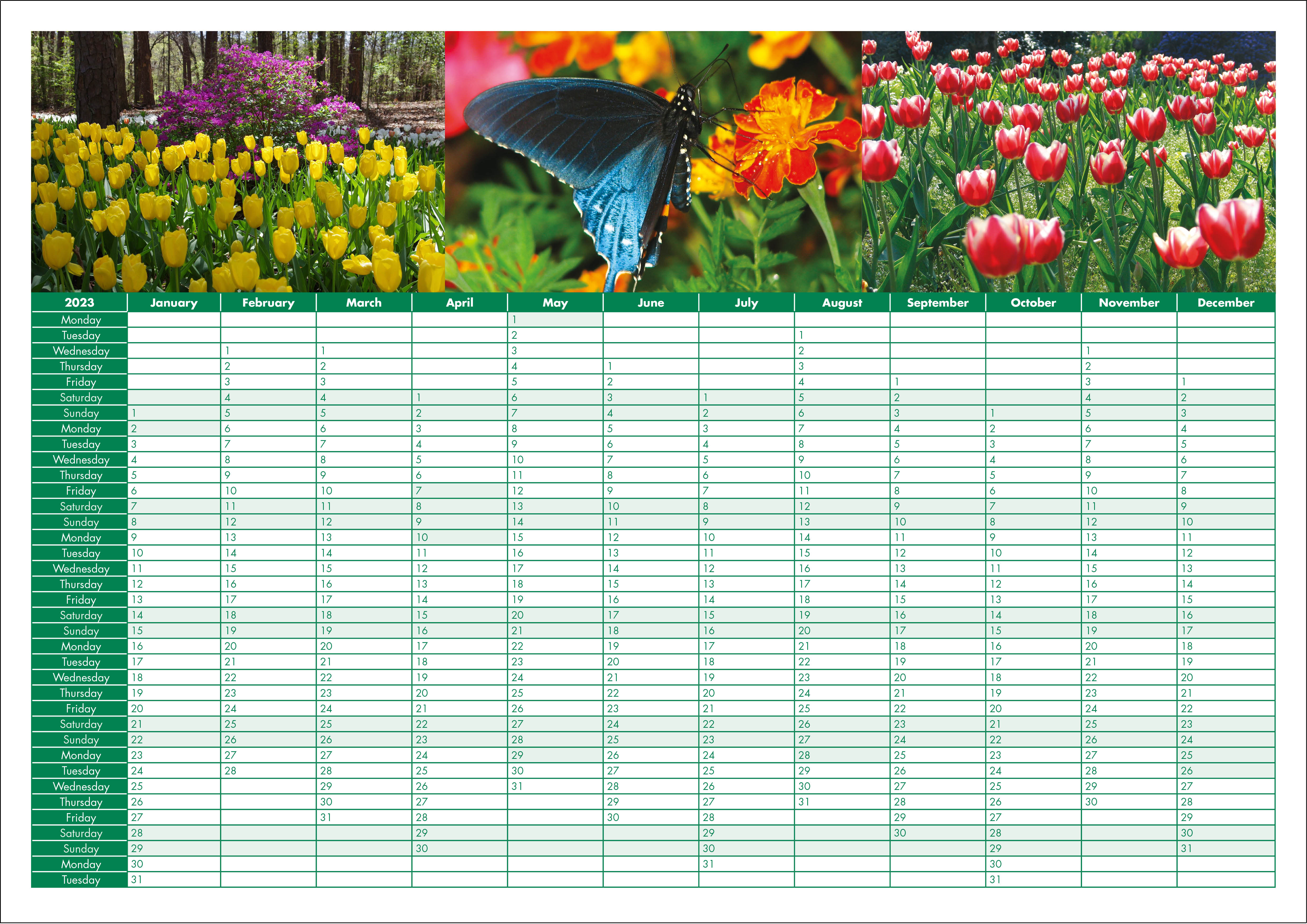 Picture of Yearplanner W08 Green