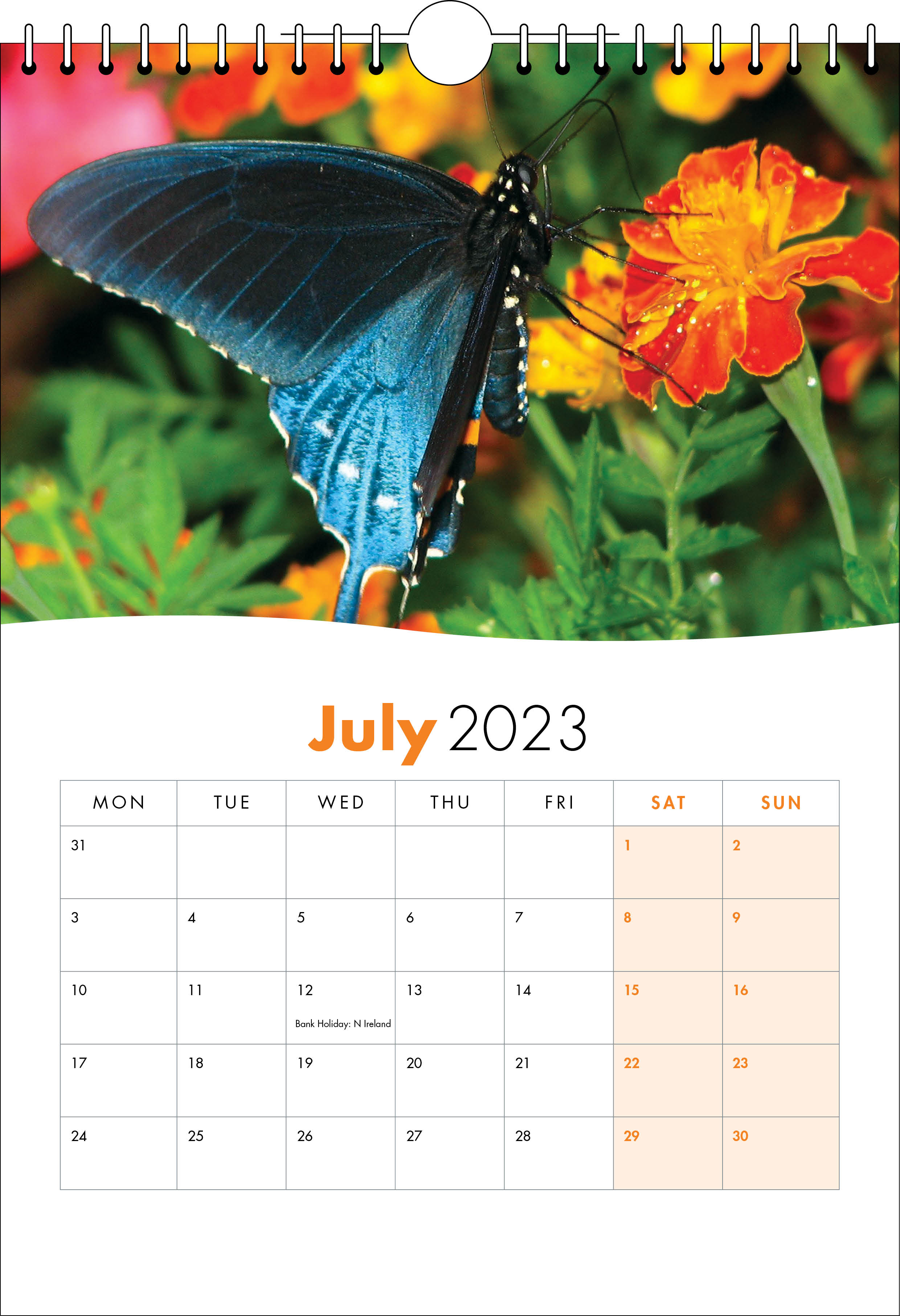 Picture of Spiral Calendar S21 Orange