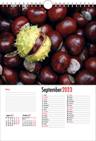 Picture of Spiral Calendar S04 Red